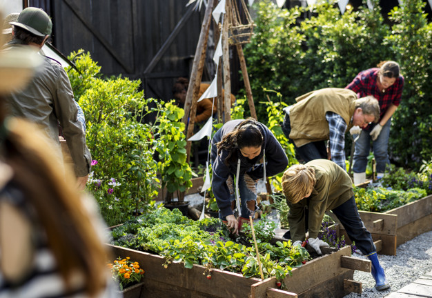 Gardening