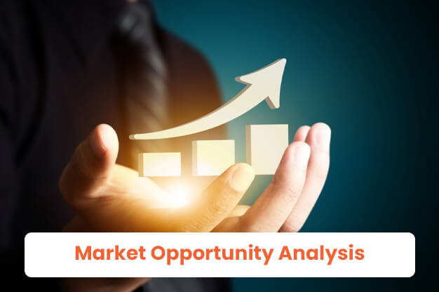 Market Opportunity Analysis