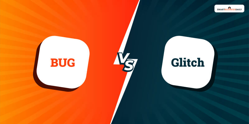 Bug vs Glitch