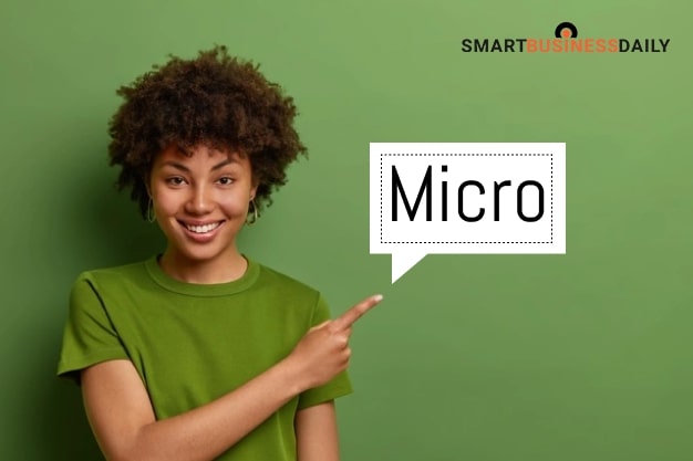 What Is Micro