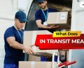What Does In Transit Mean