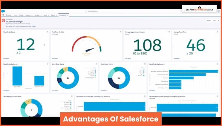 Advantages Of Salesforce