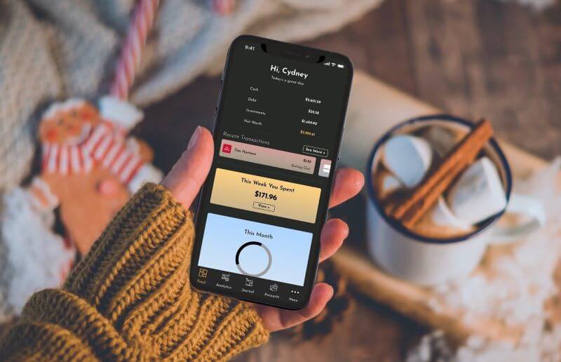 Personal finance apps have recently emerged as a separate product niche in the digital market to address this gap in the financial literacy of individuals.