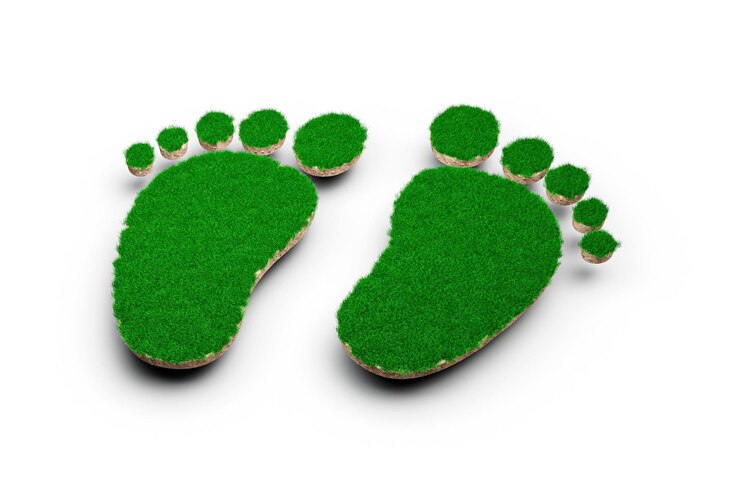 Measure Carbon Footprint