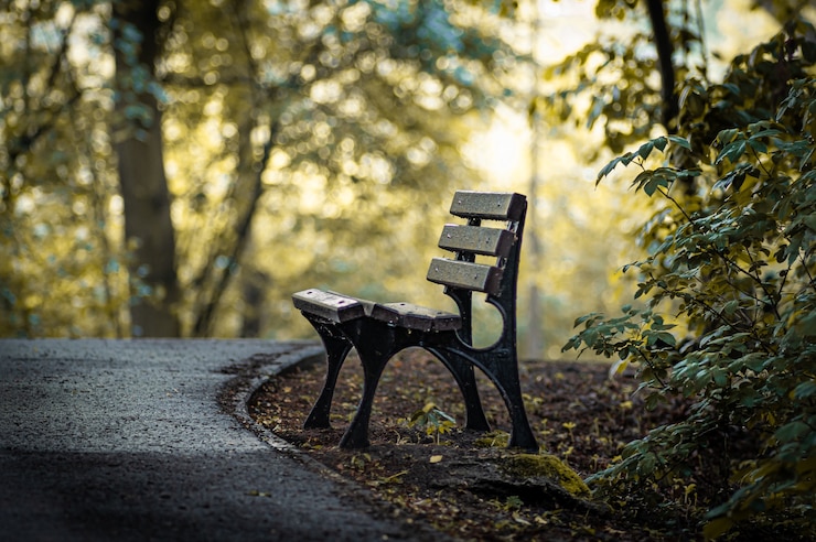 Metal Chair