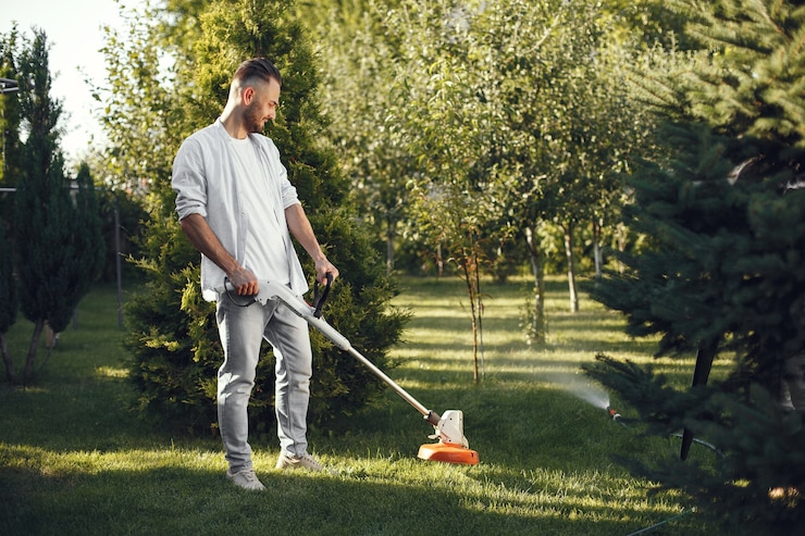 low-maintenance landscaping