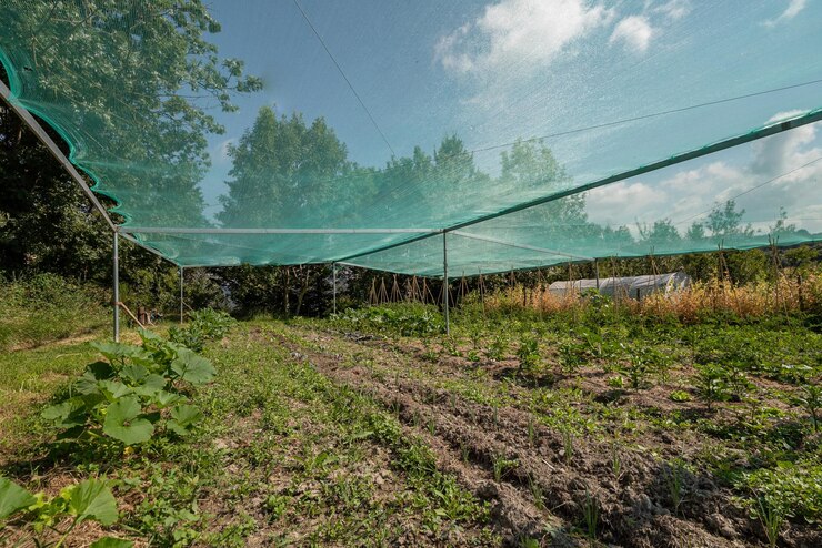 Grow Anything In A Tent