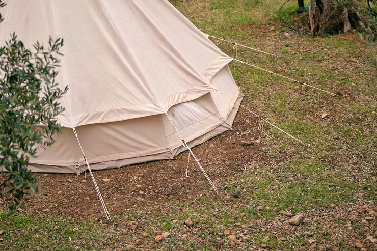 Growing in a Tent