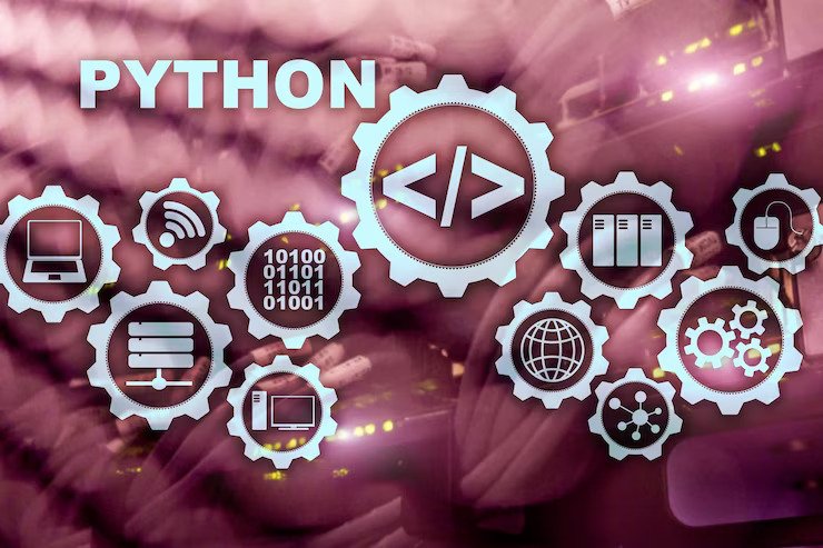 Functions Of Python Development Agencies