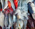 Determining The Best Seafood Wholesale Suppliers