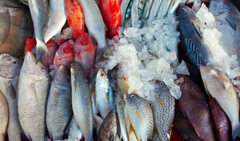 Determining The Best Seafood Wholesale Suppliers