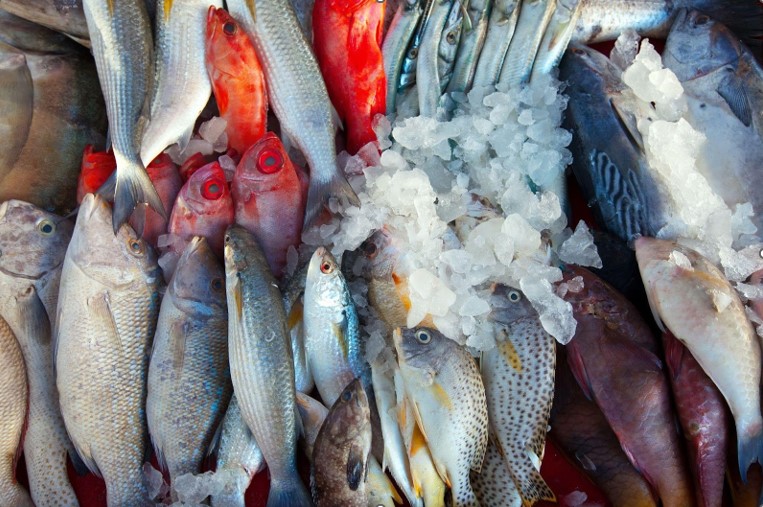 Determining The Best Seafood Wholesale Suppliers