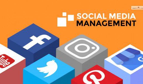 Social Media Management