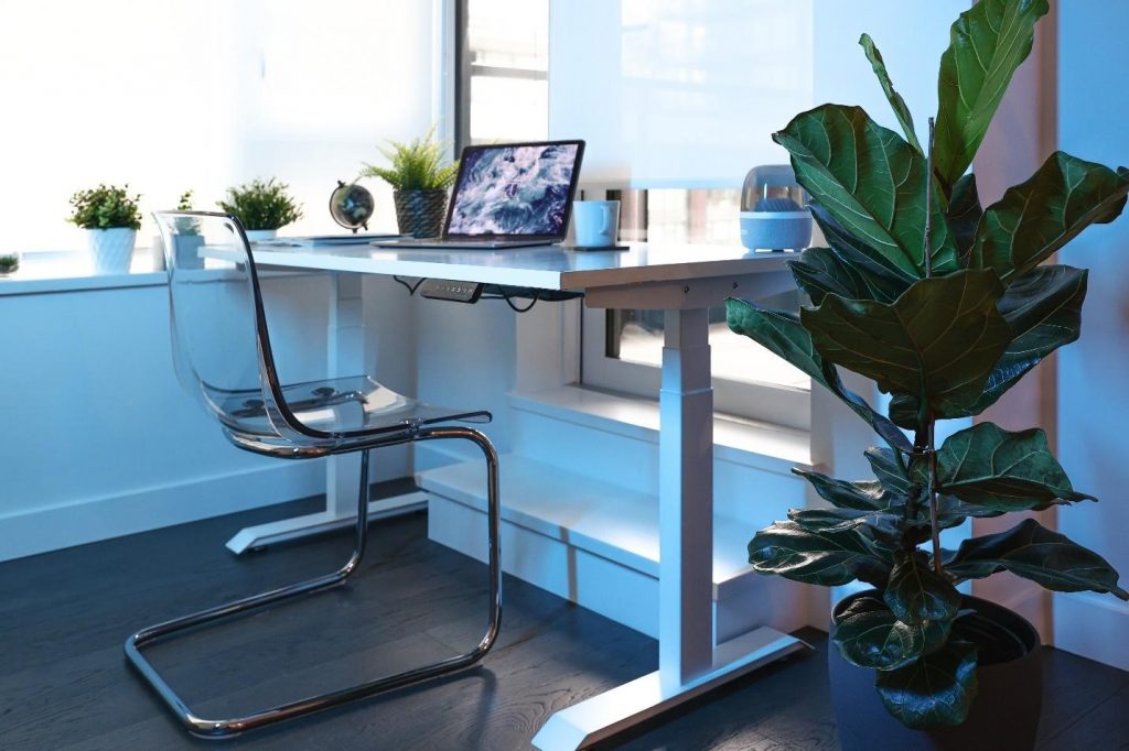 invest in standing desks