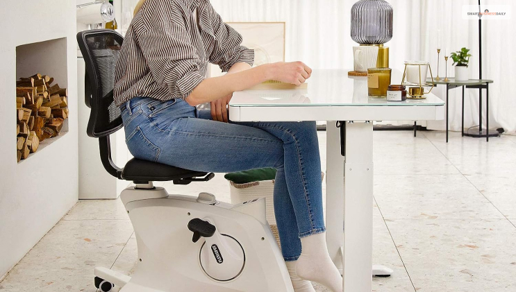 FlexiSpot Desk Bike Chair Home Office Workstation