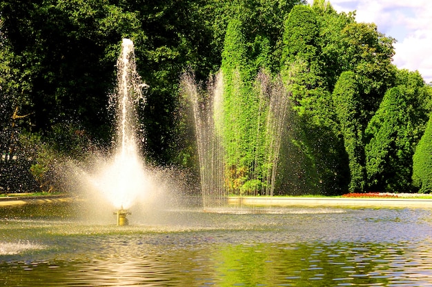 Right Submersible Fountain Pump Material