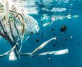 How Global Corporations Are Stepping Up Zero Plastic Efforts