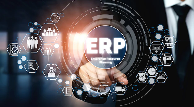 process of ERP integration