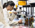 What Are The Best Paying Jobs In Major Pharmaceuticals