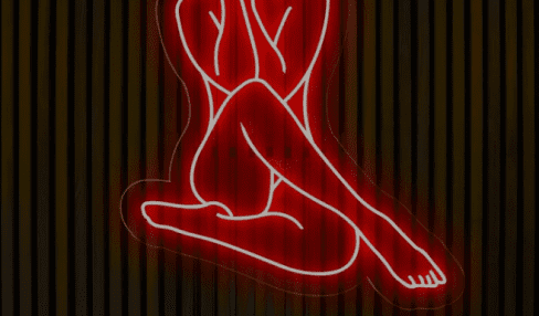 Female Body Silhouette Neon Light