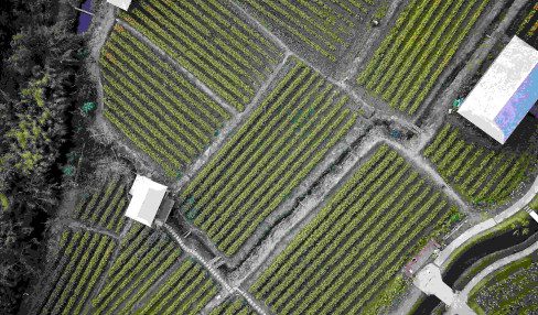 Vertical Farming