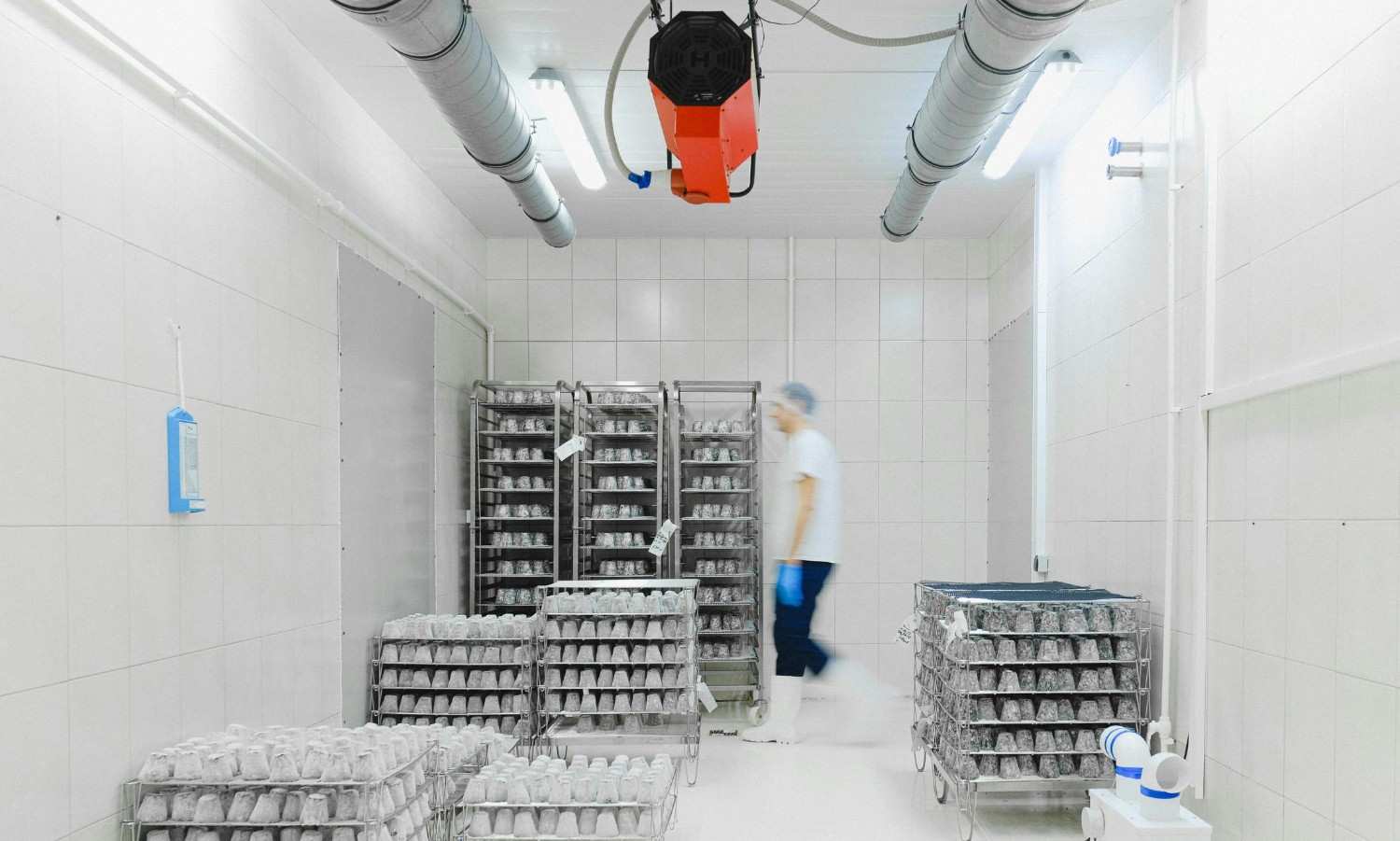 Cold Storage Near Me How to Find One