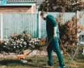 Lawn Mower Parts Online