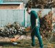 Lawn Mower Parts Online