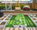 Outdoor Backyard Ideas