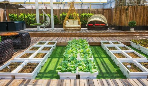 Outdoor Backyard Ideas