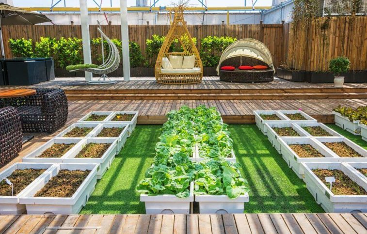 Outdoor Backyard Ideas