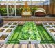 Outdoor Backyard Ideas