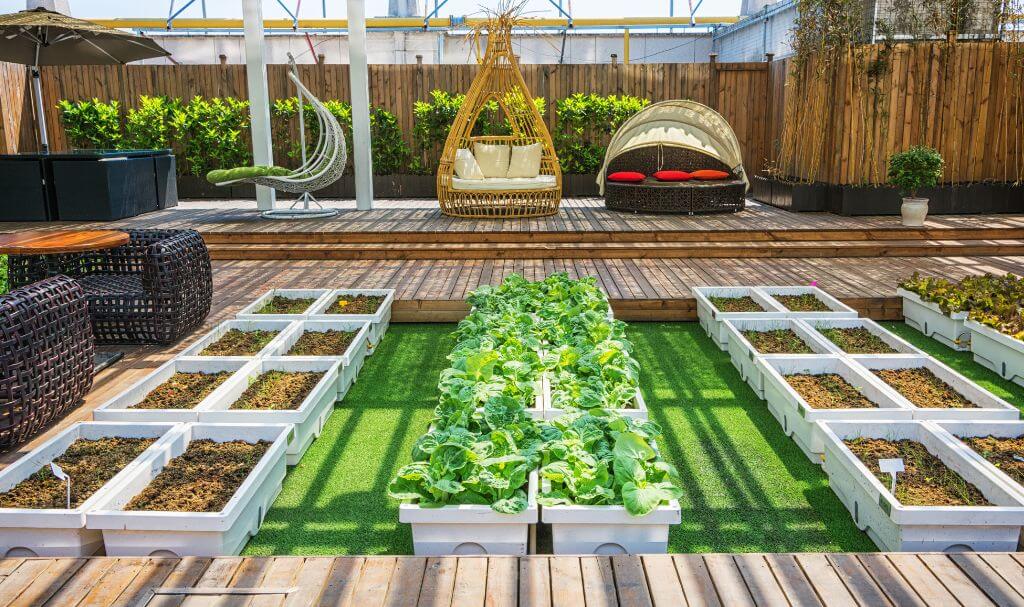 Outdoor Backyard Ideas