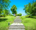 How to level a lawn