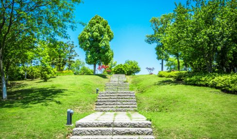 How to level a lawn