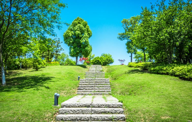 How to level a lawn