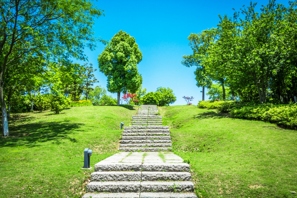 How to level a lawn