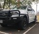 Bull Bars Protect