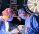 Corporate Medical Practice Regulations