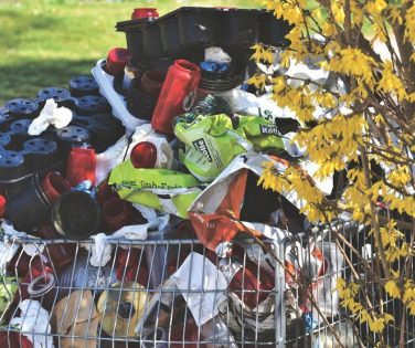 Professional Waste Disposal Service