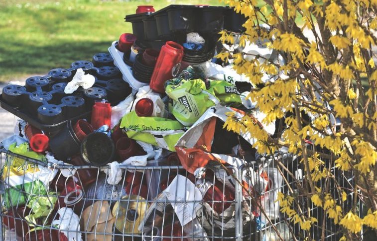 Professional Waste Disposal Service