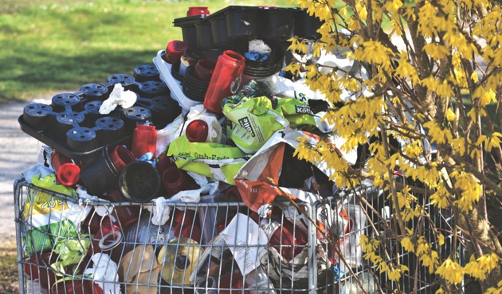 Professional Waste Disposal Service