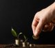 Small Cap Mutual Funds