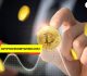 cryptopronetwork.com