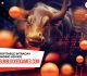 Profitable Intraday Trading Advice 66unblockedgames.Com