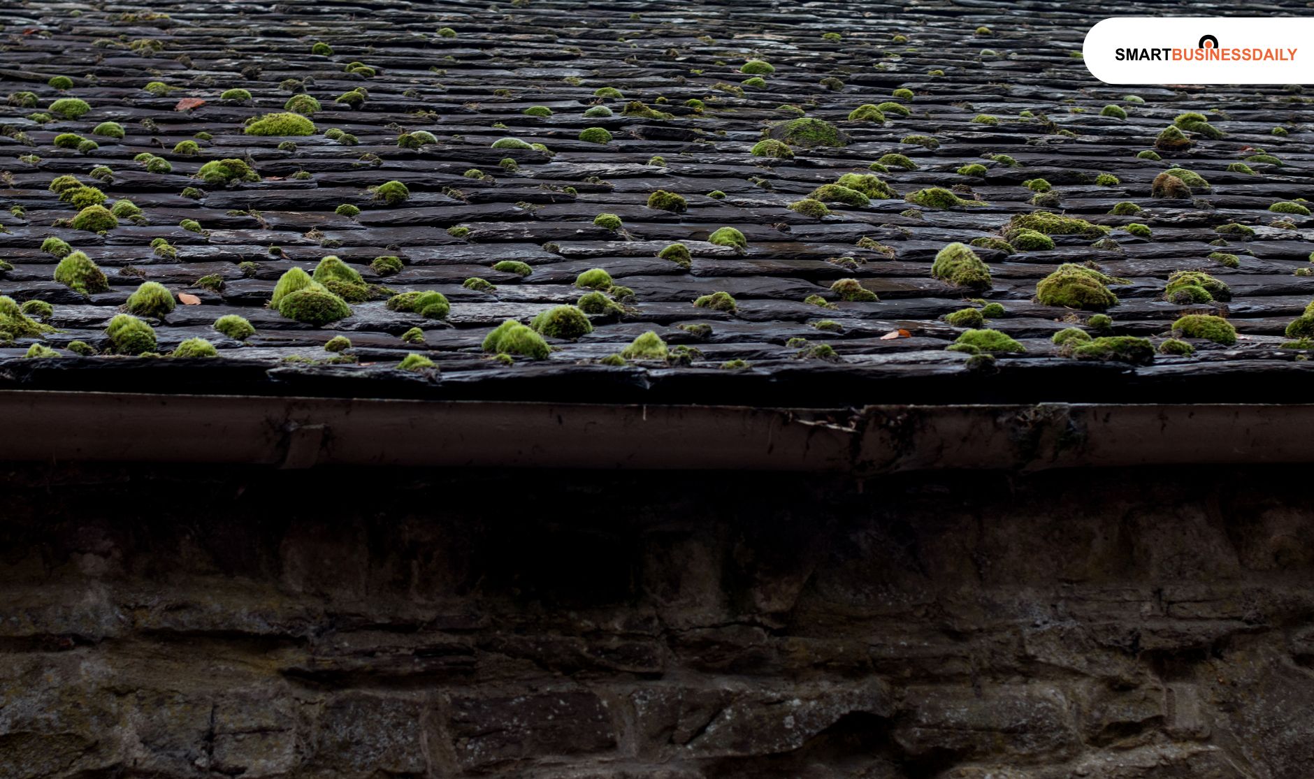 Faded Roof Colour