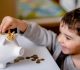 Teaching financial literacy to kids