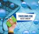 Traceloans.com Bad Credit