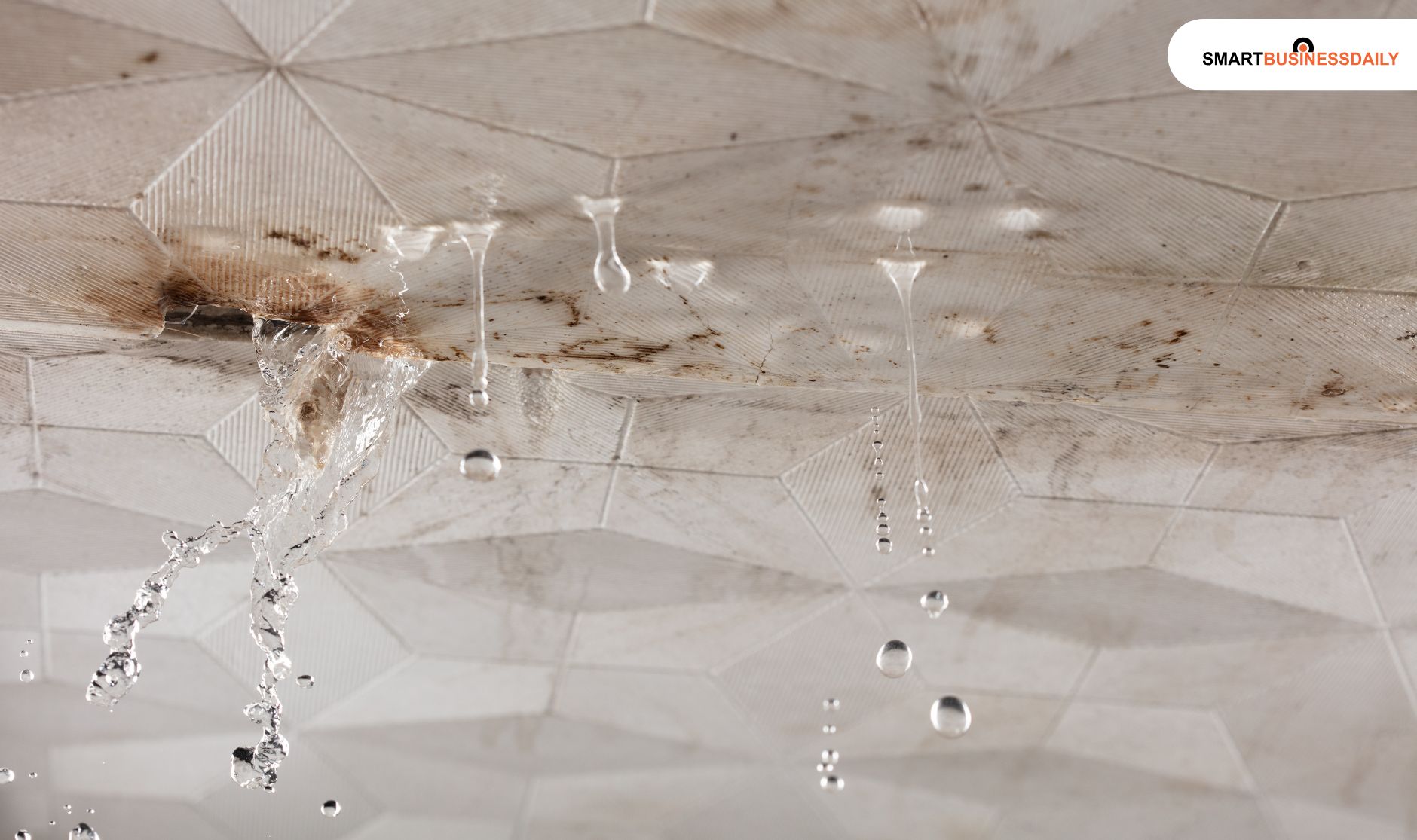 Water Damage Or Leakage