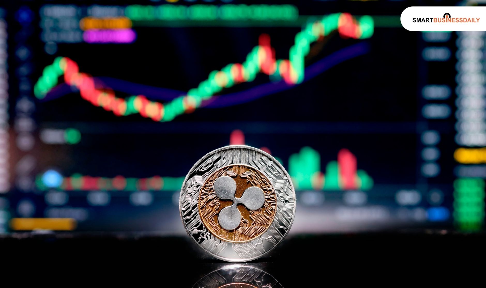 What Kind of Content Does Crypto Facto Cover